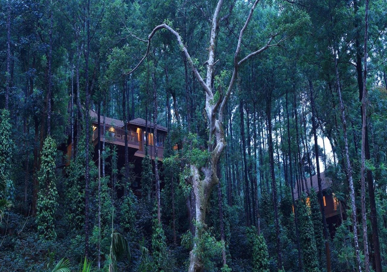 The Tamara Coorg Hotell Kakkabe Eksteriør bilde