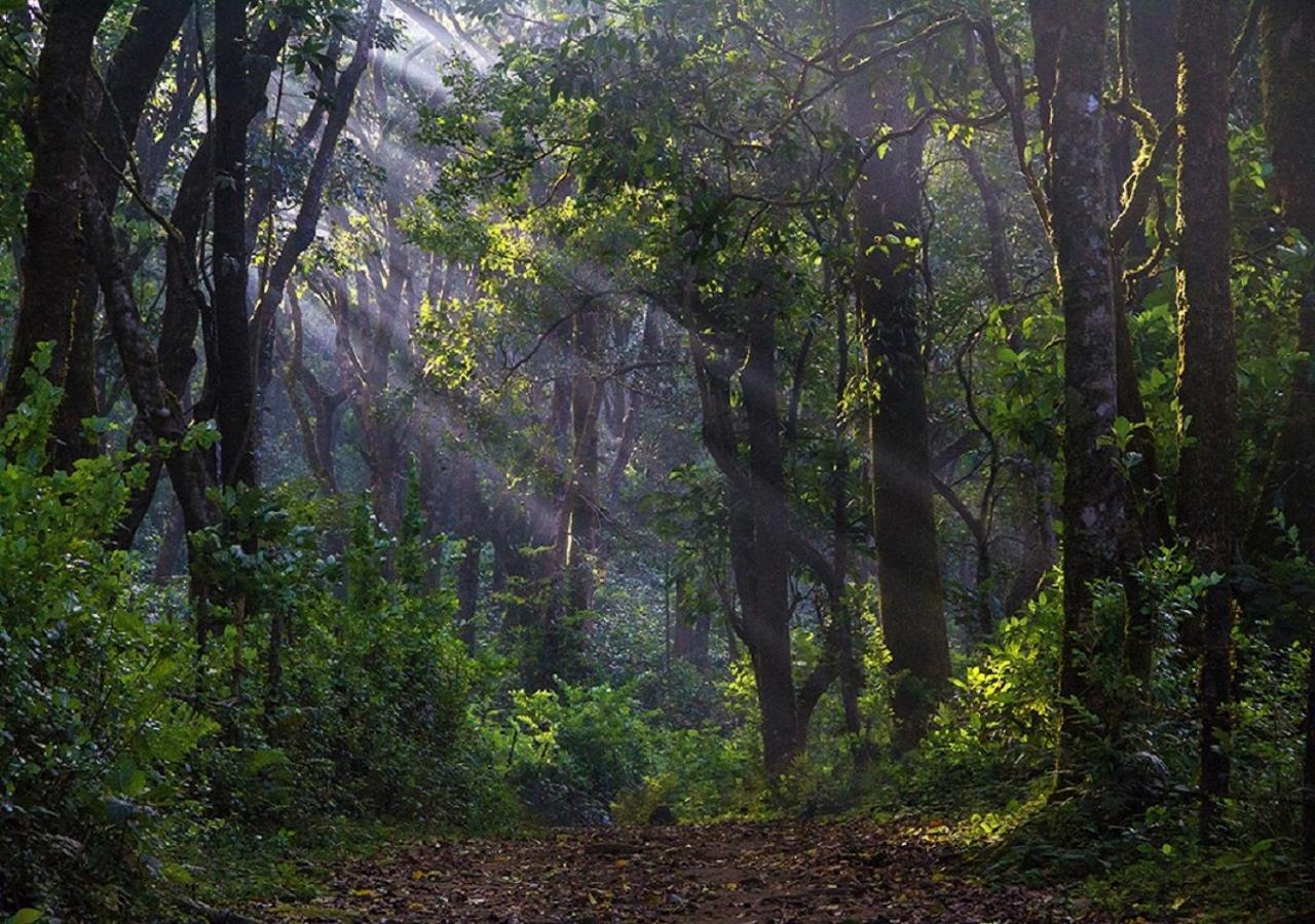 The Tamara Coorg Hotell Kakkabe Eksteriør bilde